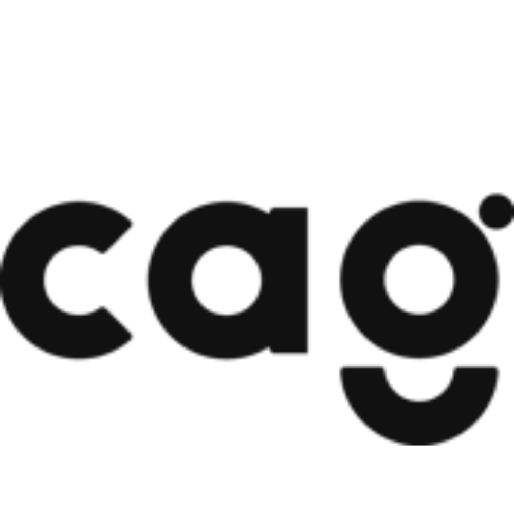 cag mer consulting logo-1